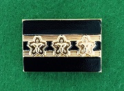 ǒ